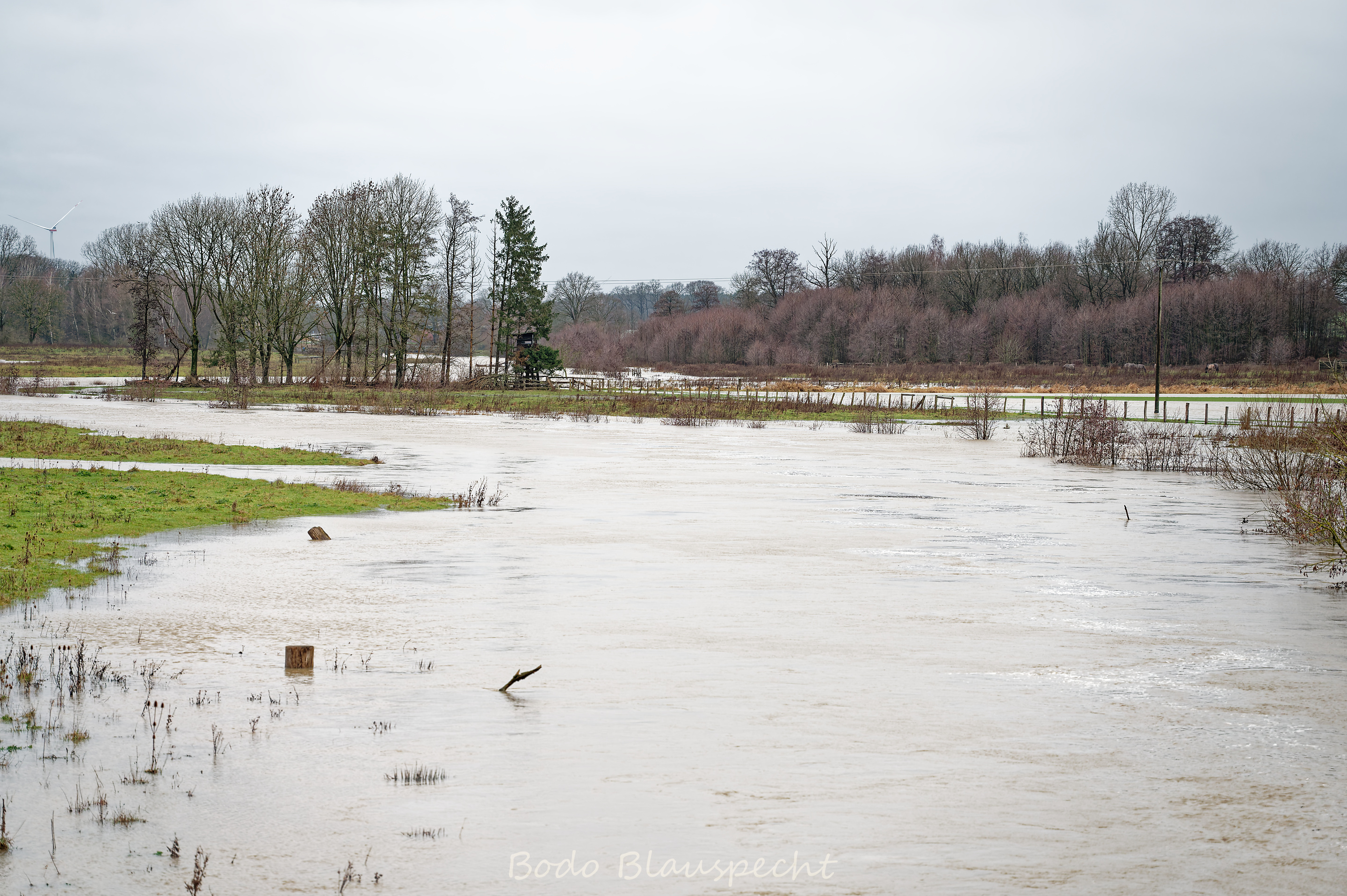 Hochwasser   Steveraue   2023.12.23 16.32 154 WEB